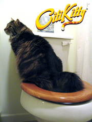 2 Pack - CitiKitty Cat Toilet Training Kit - CitiKitty Inc. 
 - 8