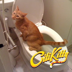 CitiKitty Cat Toilet Training Kit with Extra Training Insert - CitiKitty Inc. 
 - 6
