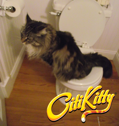 CitiKitty Cat Toilet Training Kit CitiKitty Inc
