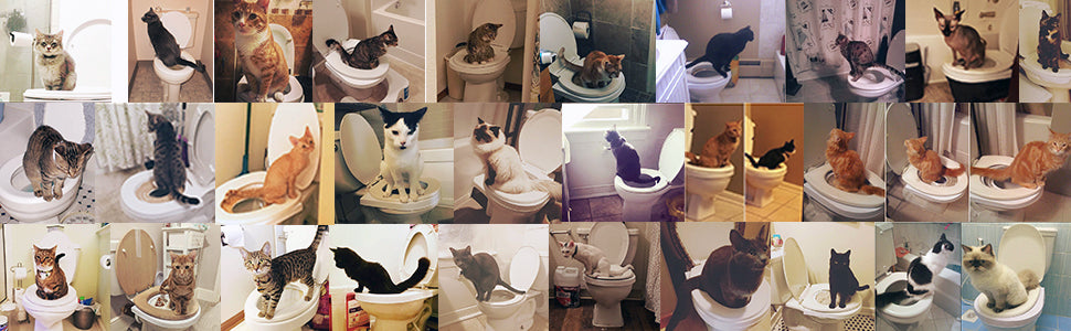 CitiKitty Cat Toilet Training Kit - As Seen on Shark Tank – CitiKitty Inc.