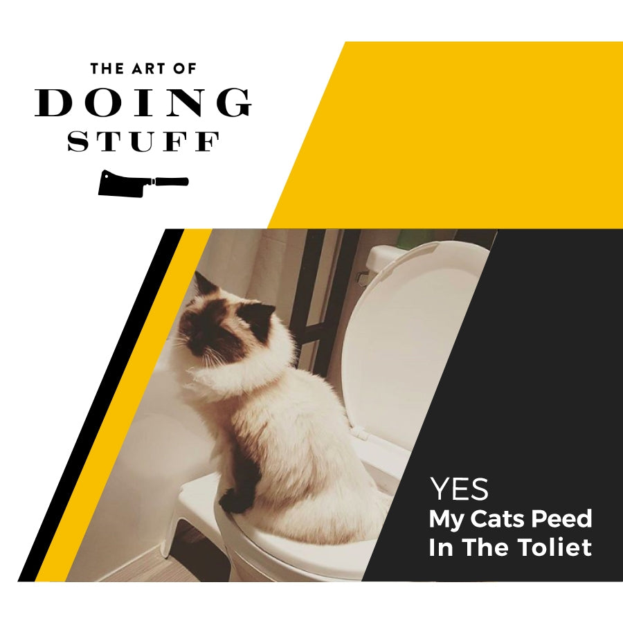 Citikitty petsmart discount