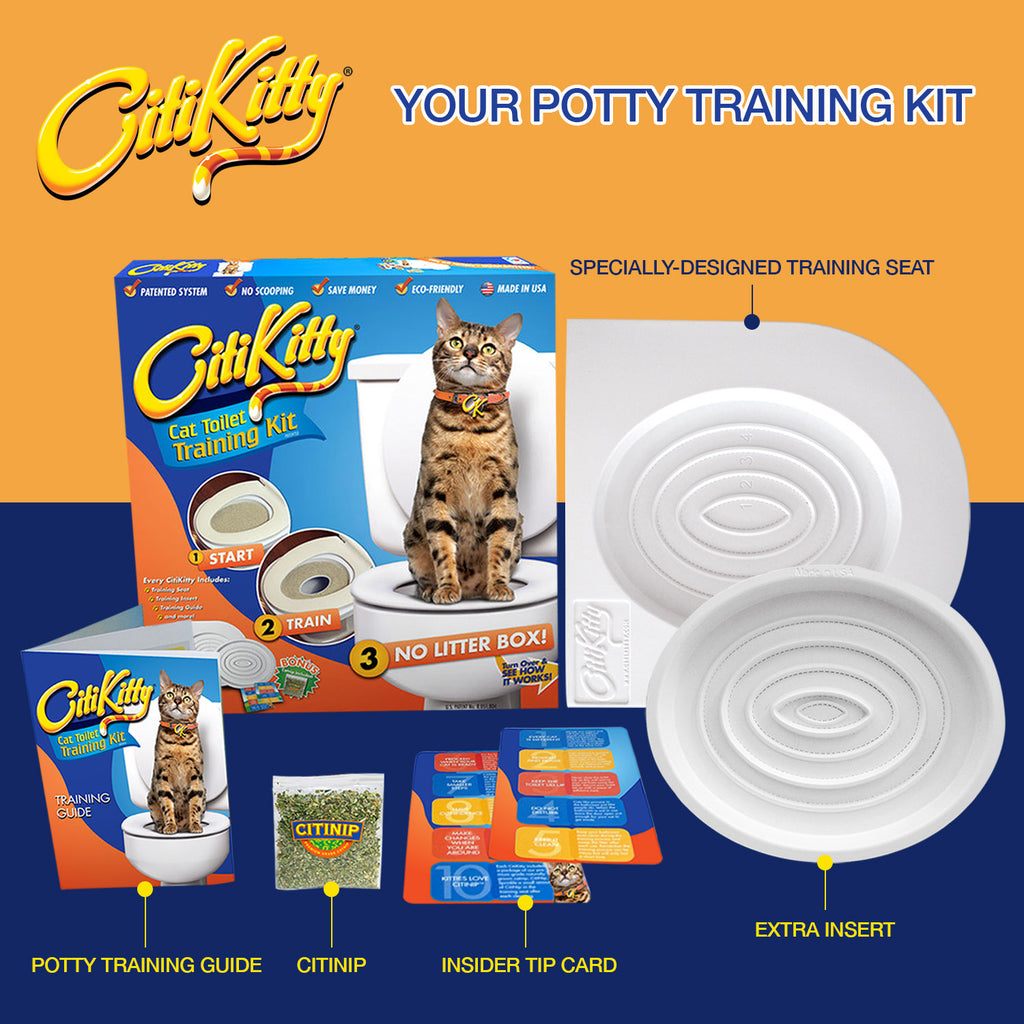 Cat Training  Kitten Litter Box Training