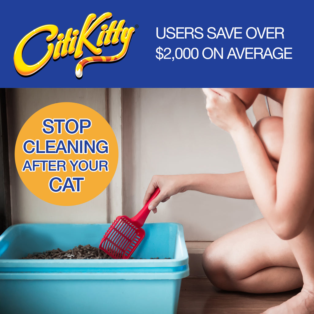 Citikitty cat toilet clearance training kit