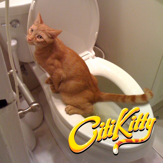 CitiKitty Cat Toilet Training Kit – CitiKitty Inc.
