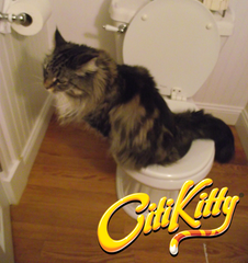 CitiKitty Cat Toilet Training Kit with Extra Training Insert - CitiKitty Inc. 
 - 5