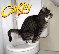 CitiKitty Cat Toilet Training Kit with Extra Training Insert - CitiKitty Inc. 
 - 7